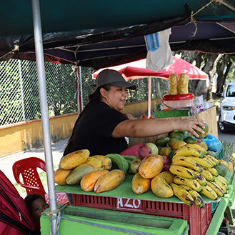 A woman setting a fruit stand. Links to Beneficiary Designations